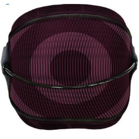 Proton Kite - Maroon