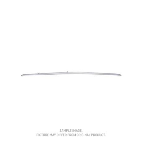 Bladder Leading Edge Dice SLS (SS25)