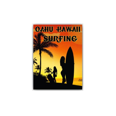 PLAQUE METAL DECORATIVE MAUI SURFING
