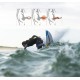 Bouchons d'oreilles surf